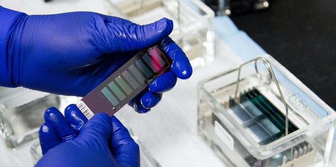 How Long Does Delta 8 Stay in Your System?