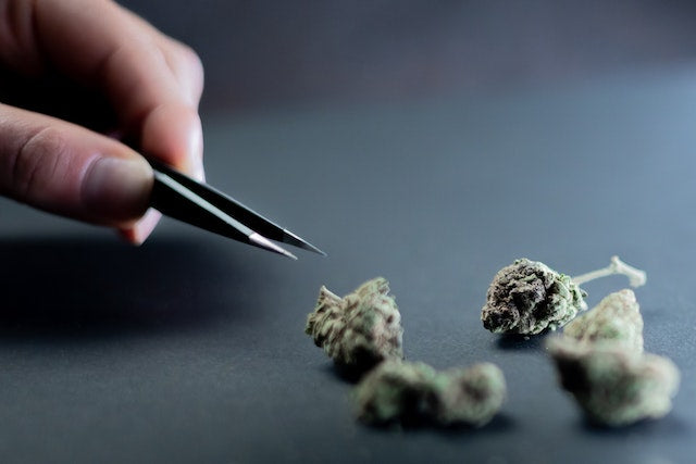 How to Choose the Best Delta-8 THC Manufacturer?