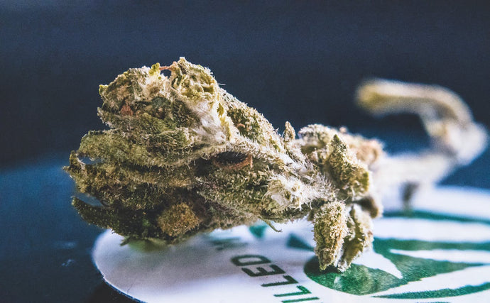 THCa